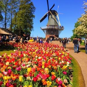 Meet your Posher, Gail